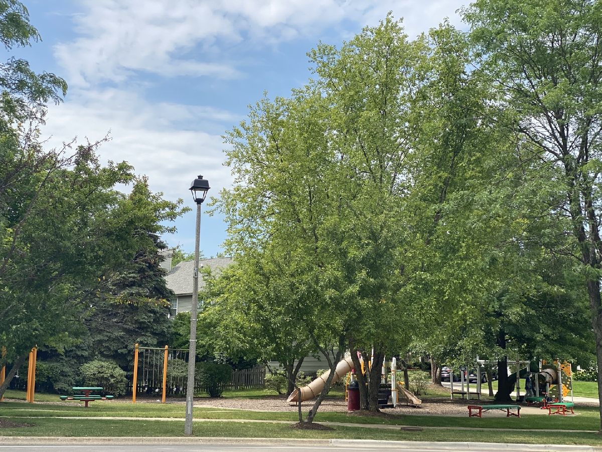 Homes Sold Highlands Of Fairway Ridge Gurnee Illinois, 817 Dunhill