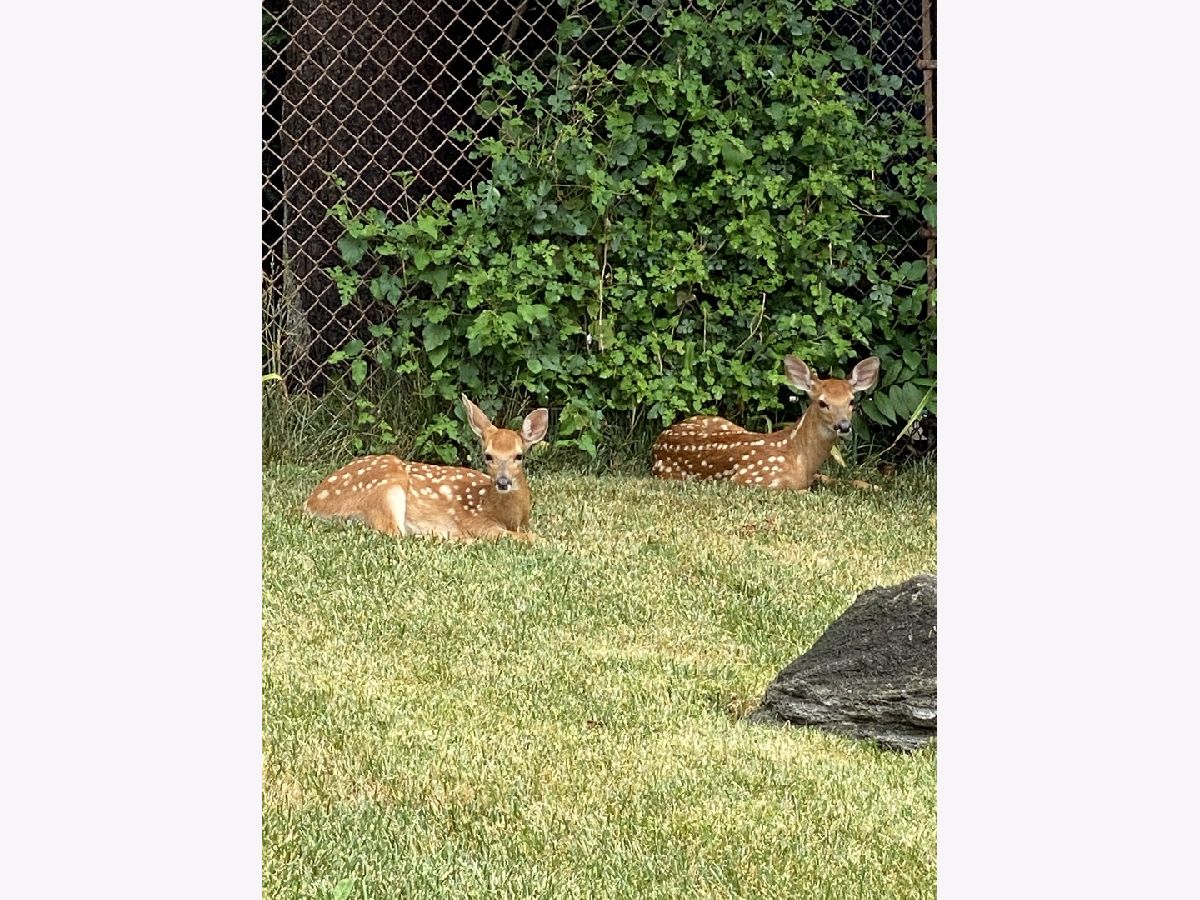 Homes Sold Timber Trails Oak Brook Illinois, 84 Timber View