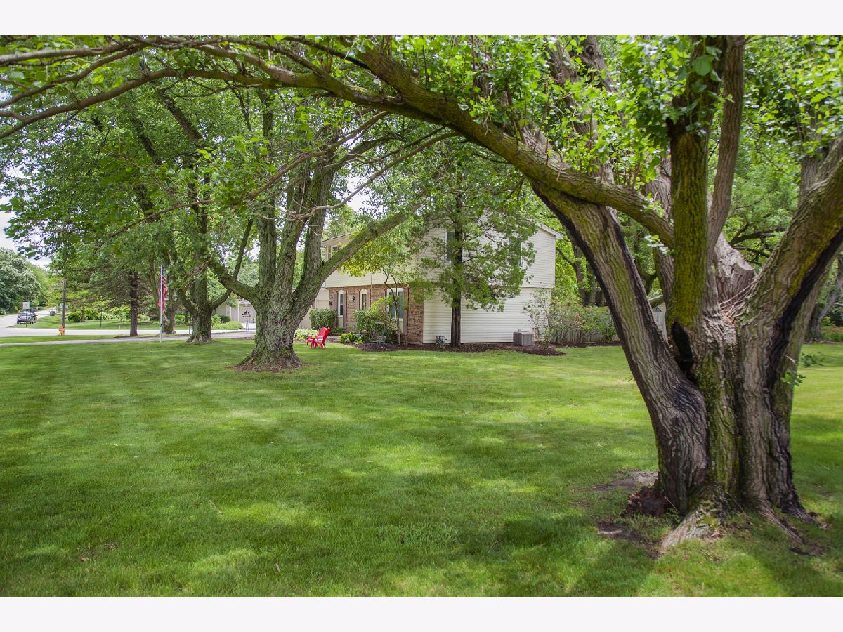 Homes & Condos & Townhomes Sold Century Oaks East Elgin Illinois, 1229 Forest