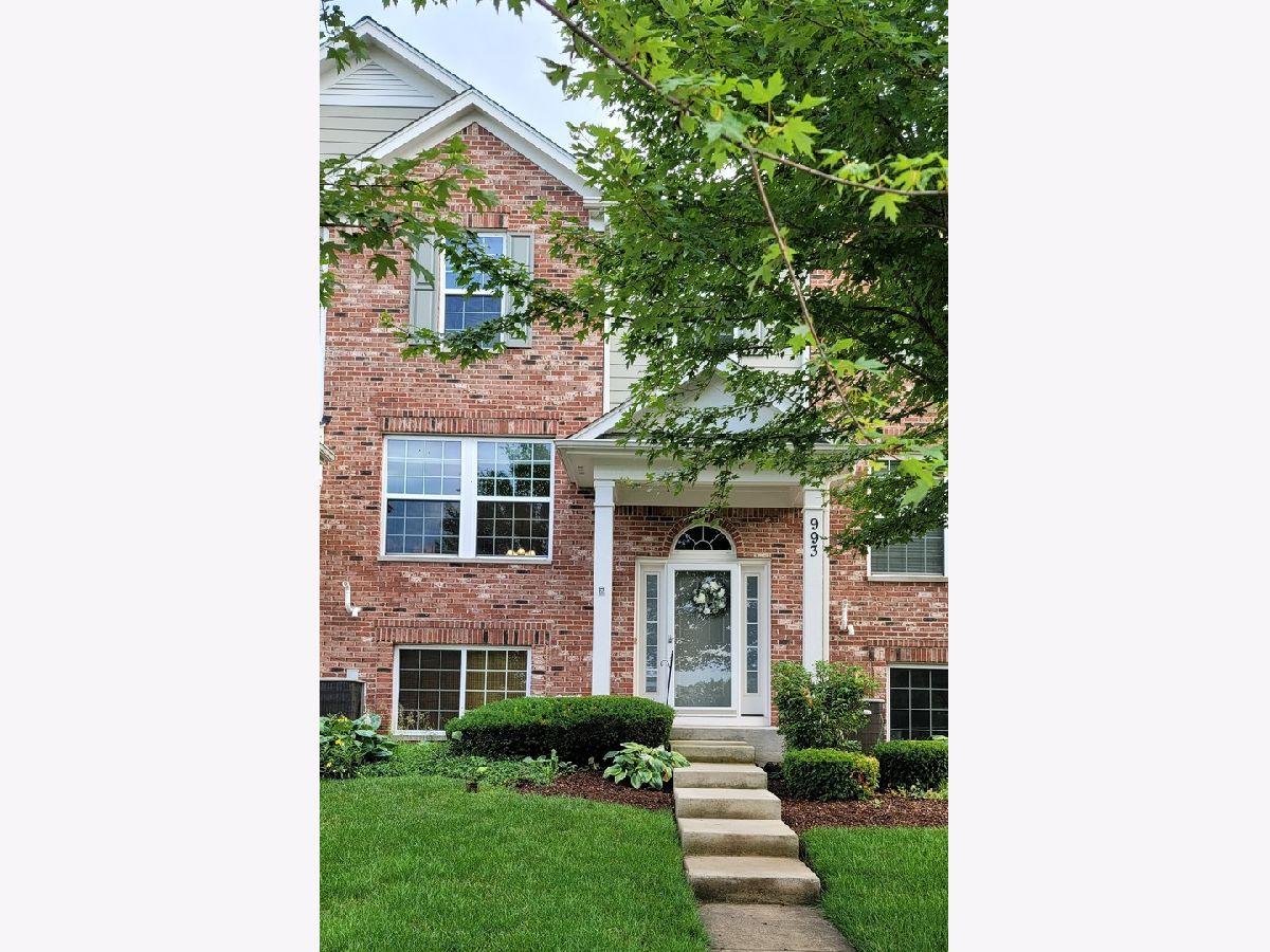 Townhomes Rented The Reserve Of Elgin Elgin Illinois, 993 Reserve