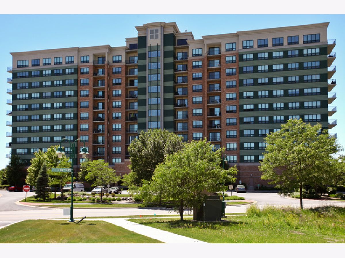 Homes & Condos & Townhomes Rented Seven Bridges Woodridge Illinois, 6420 Double Eagle