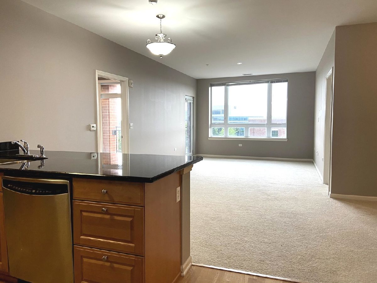 Condominiums Rented Burr Ridge Village Center Burr Ridge Illinois, 850 Village Center