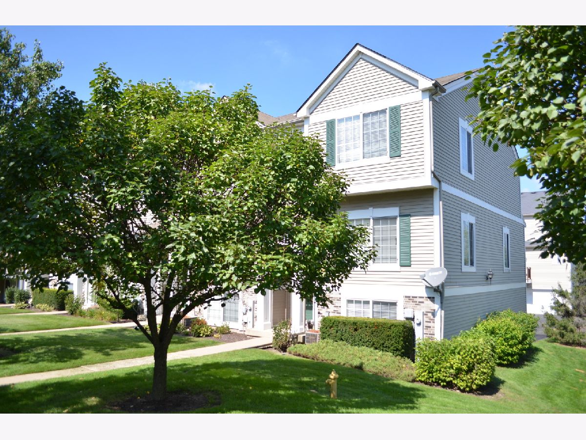 Townhomes Rented The Enclave Bolingbrook Illinois, 110 Enclave