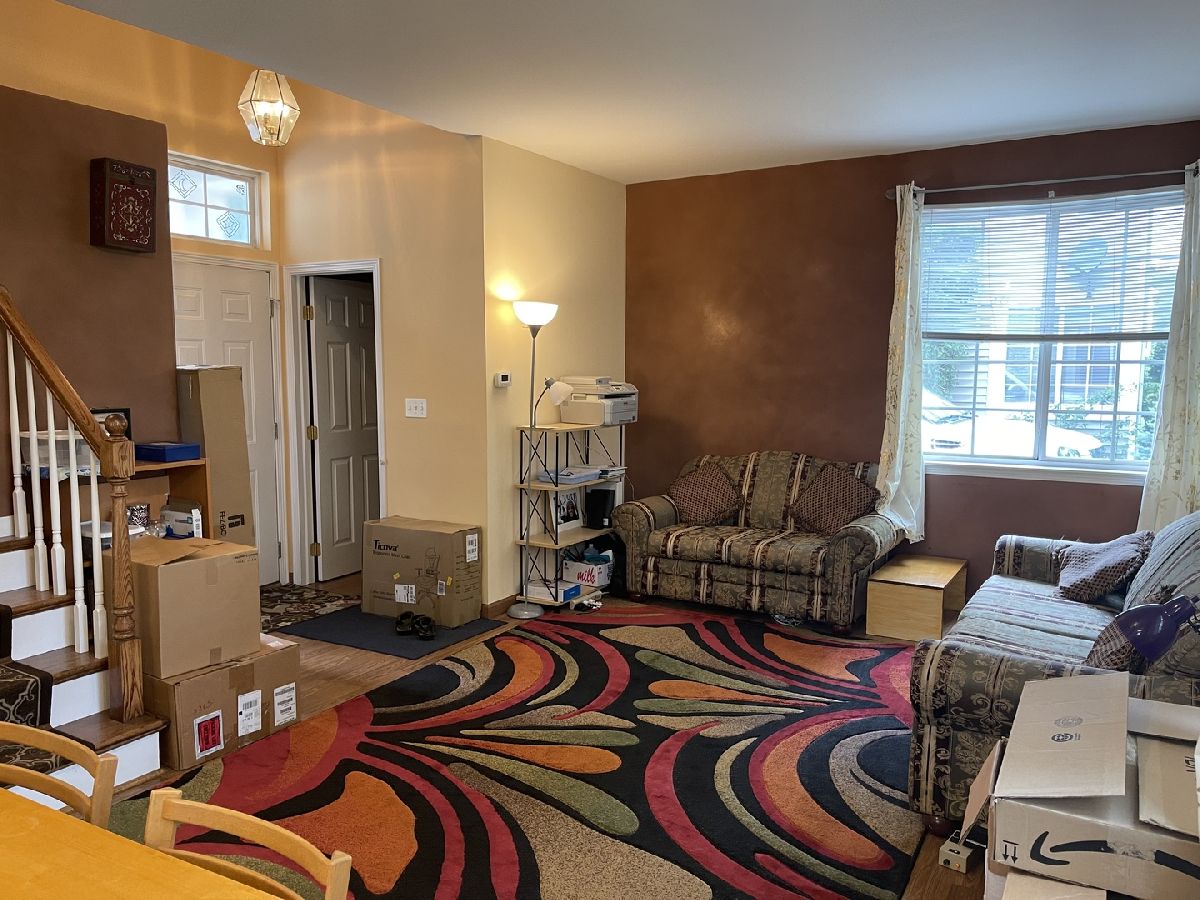 Townhomes & Condos Sold Concord Station Streamwood Illinois, 141 Heritage