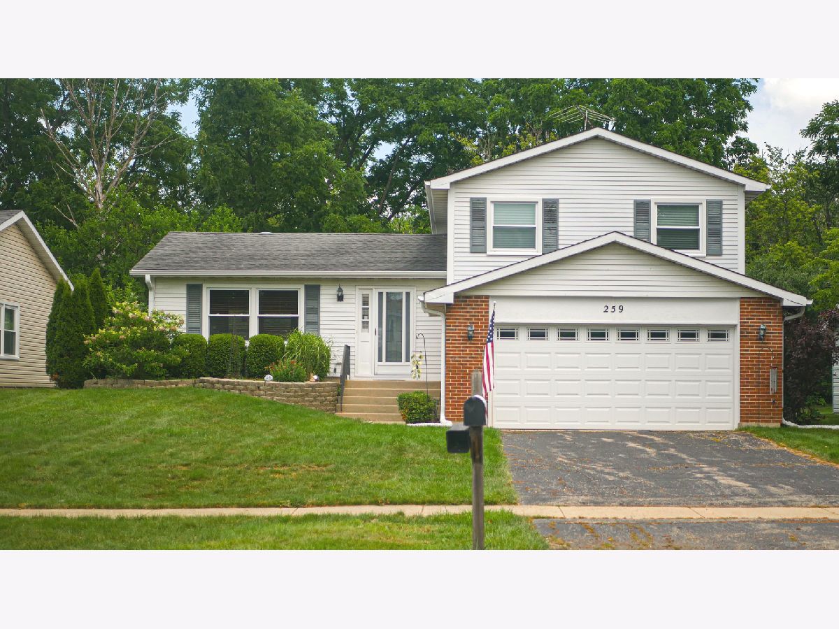 Homes Sold Park Place West Bartlett Illinois, 259 Park Place