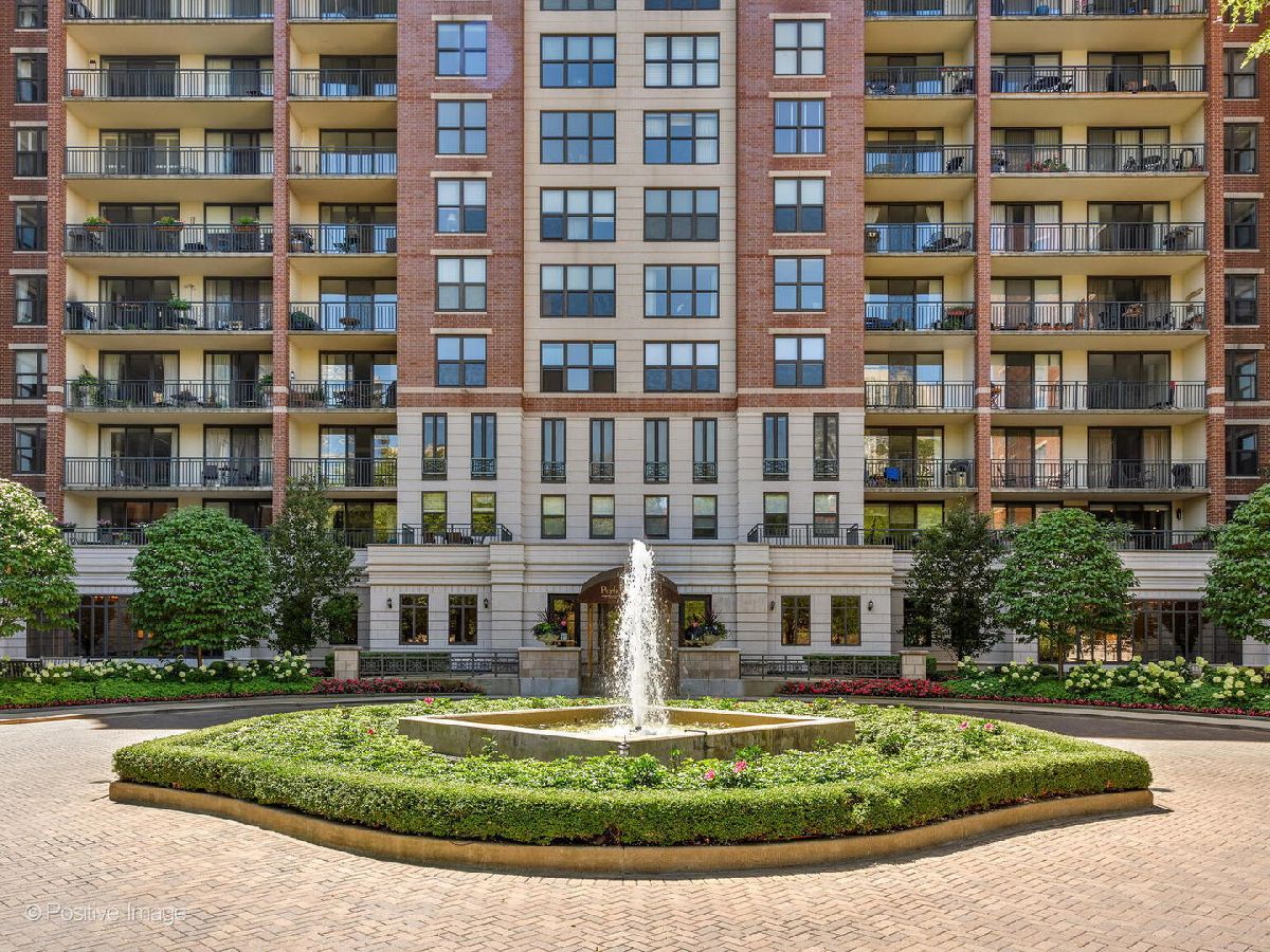 Condominiums Rented Park Newberry Chicago Illinois, 55 Delaware