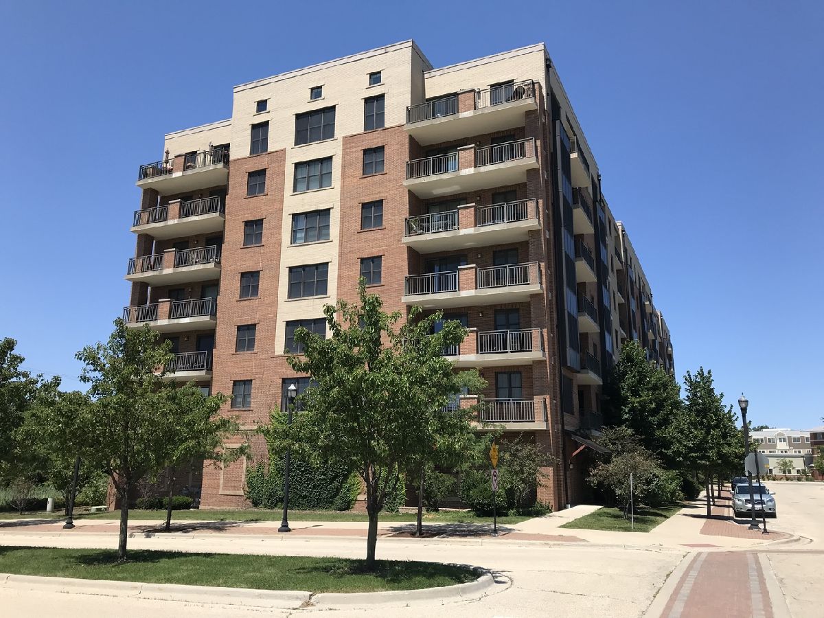 Condominiums Rented Cardinal Square Mundelein Illinois, 300 Anthony