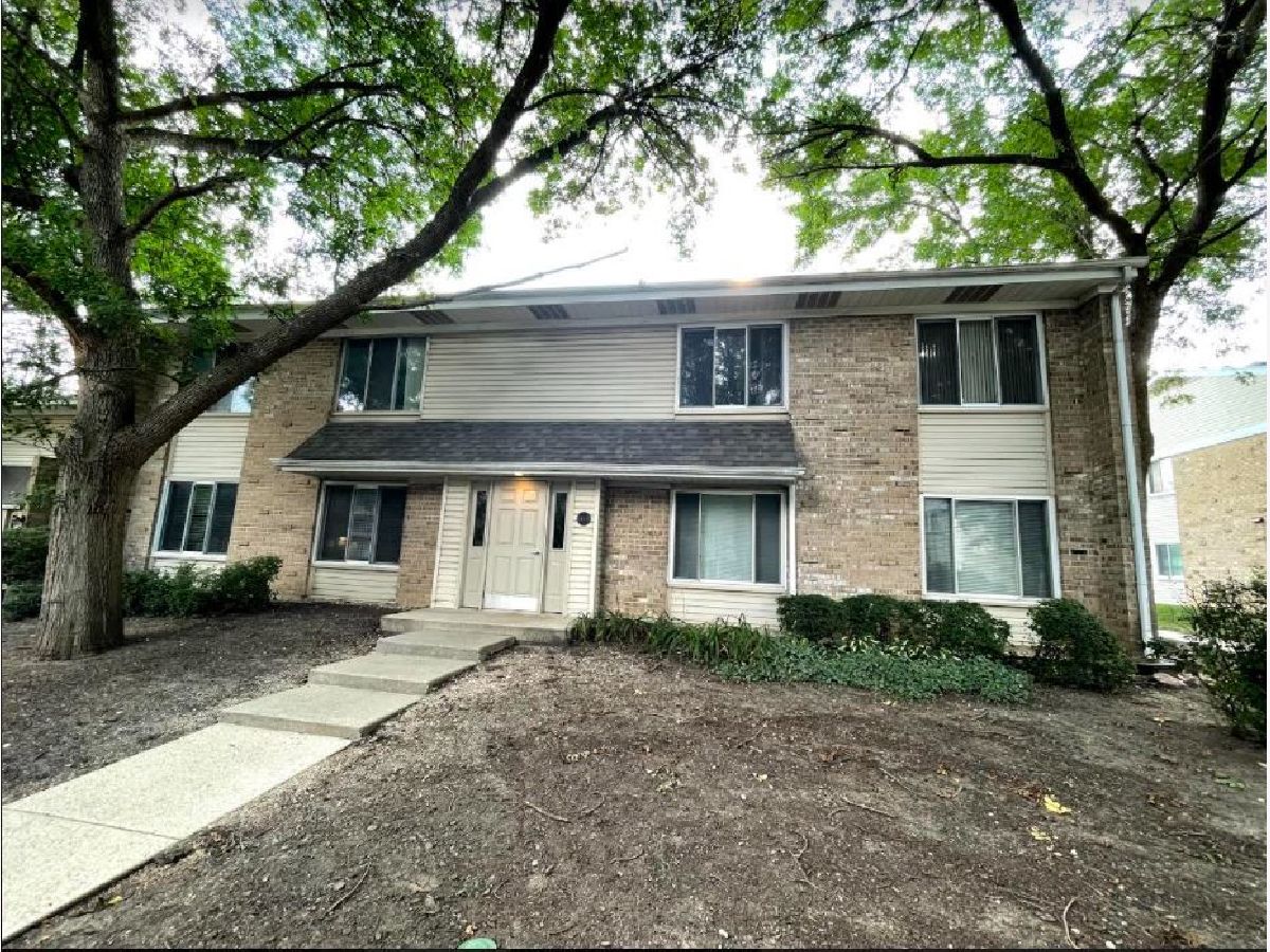 Condos & Townhomes & Homes Rented Moon Lake Village Hoffman Estates Illinois, 1440 Vista Walk