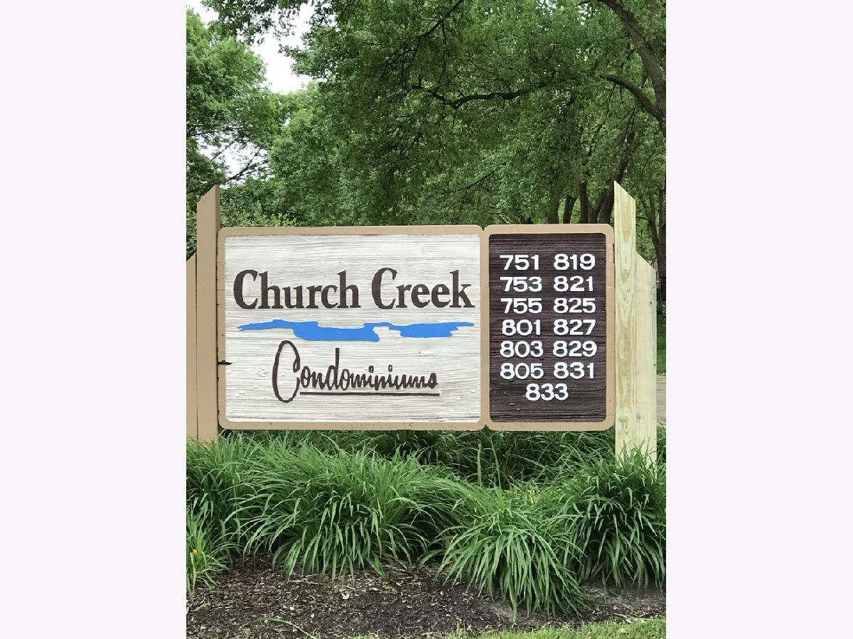 Condominiums Rented Church Creek Arlington Heights Illinois, 819 Dwyer