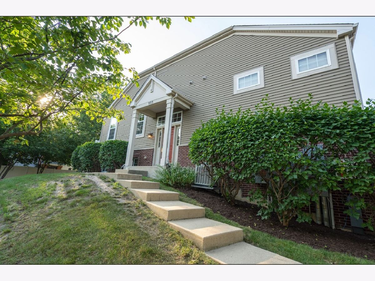 Townhomes Sold Neudearborn Station Naperville Illinois, 903 Neudearborn