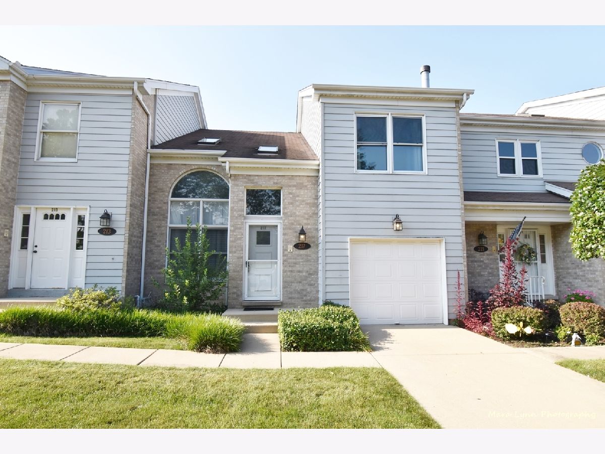 Townhomes & Homes Sold Tall Oaks Wood Dale Illinois, 217 Potter