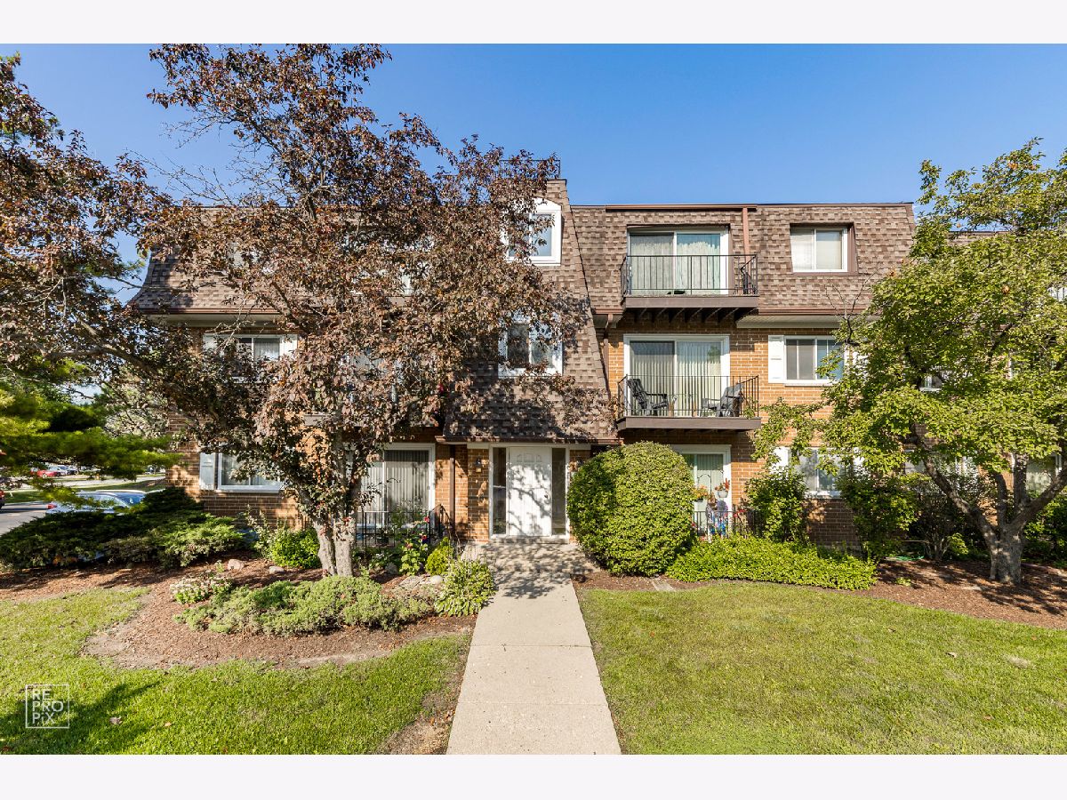 Condominiums Sold Golf Grove Mount Prospect Illinois, 1004 Grove