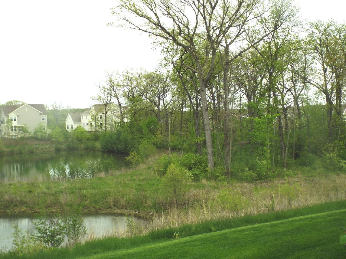 Townhomes & Condos Rented Forest Ridge Streamwood Illinois, 1463 Yellowstone