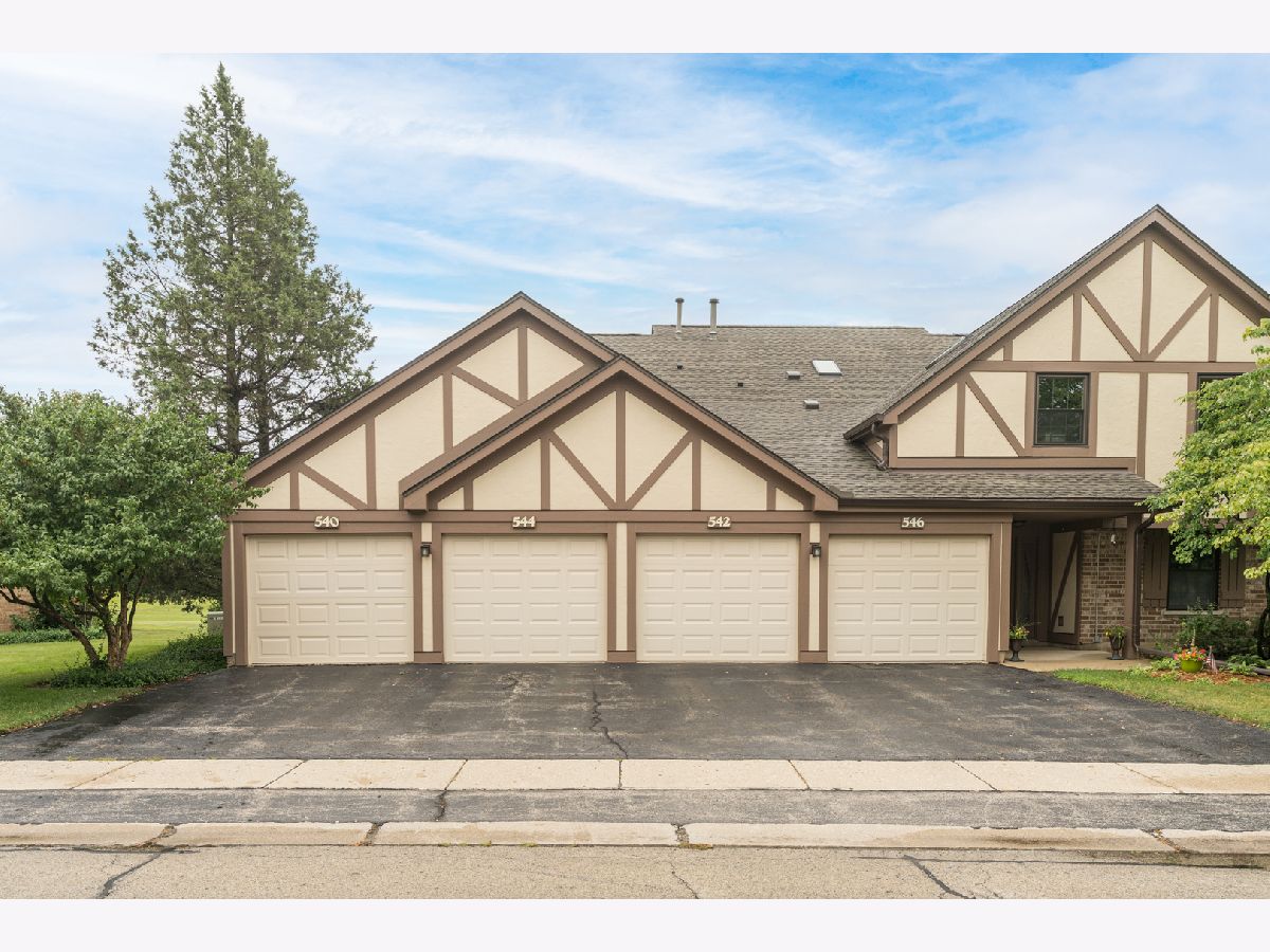 540 Elizabeth Drive, Wood Dale, Illinois 60191 MLS 11181333 WinterCohen