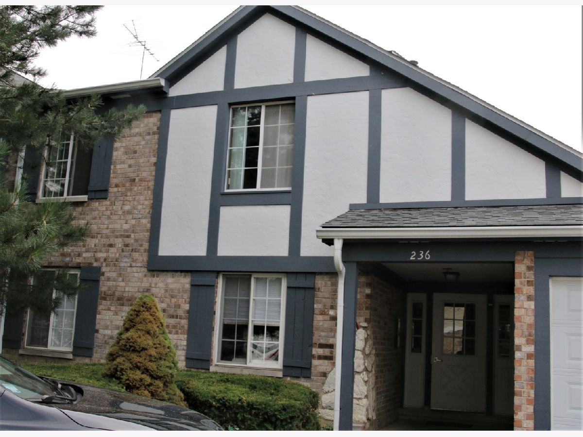 Condominiums Sold Williamsport Village Westmont Illinois, 236 Memory