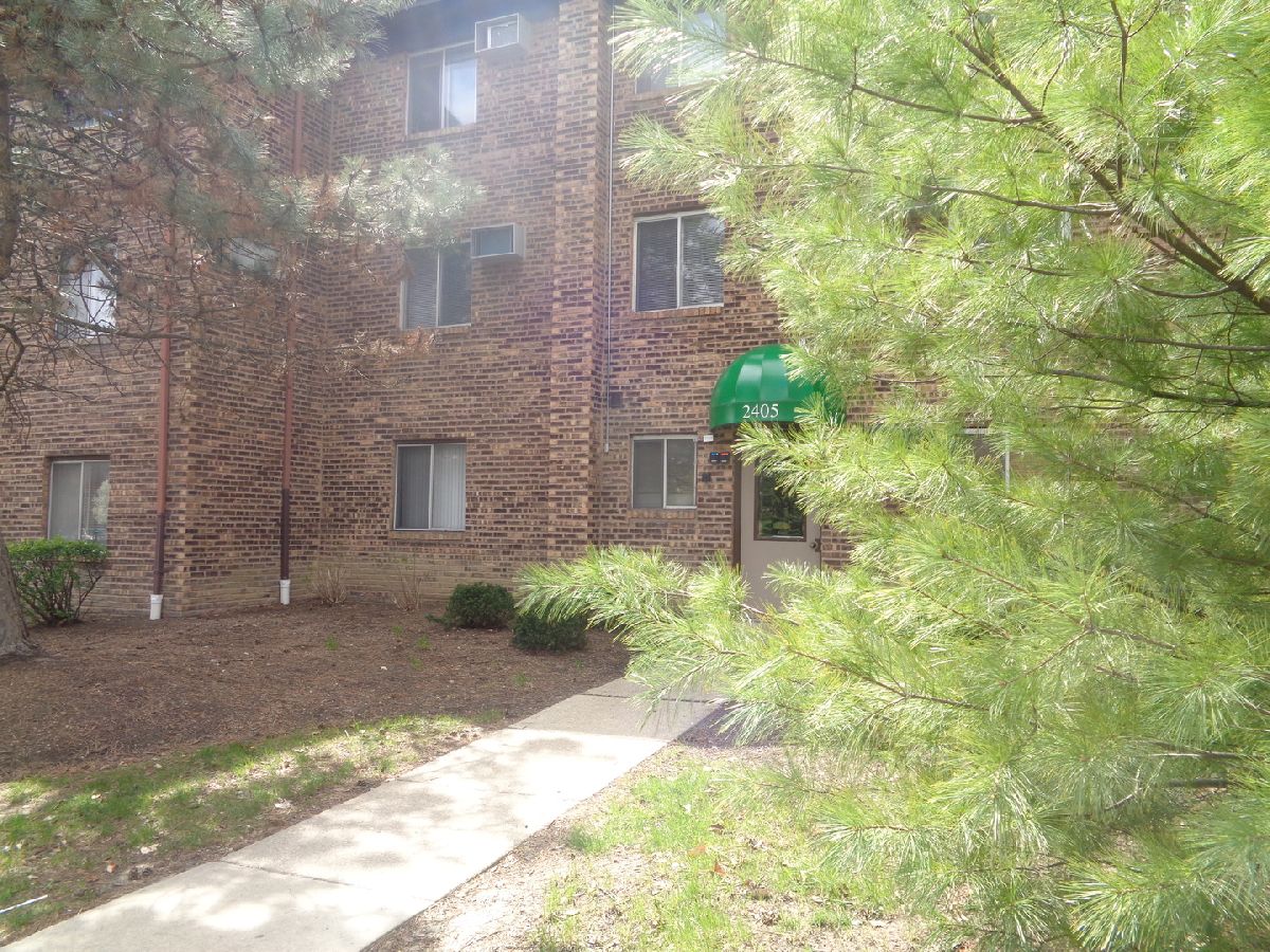 Condominiums Rented Waterbury Woodridge Illinois, 2405 Spring