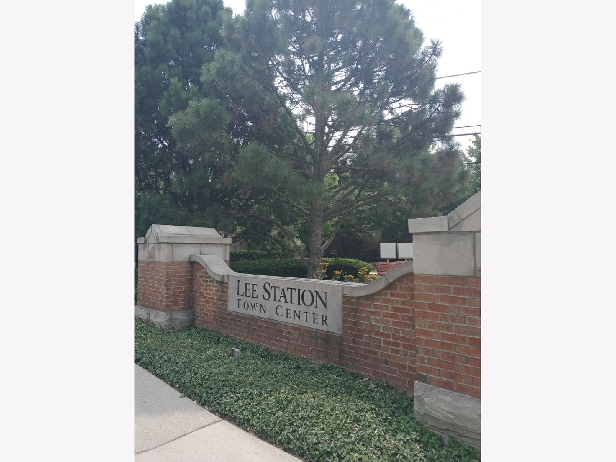 Townhomes & Condos Sold Lee Station Winfield Illinois, 76 Lee
