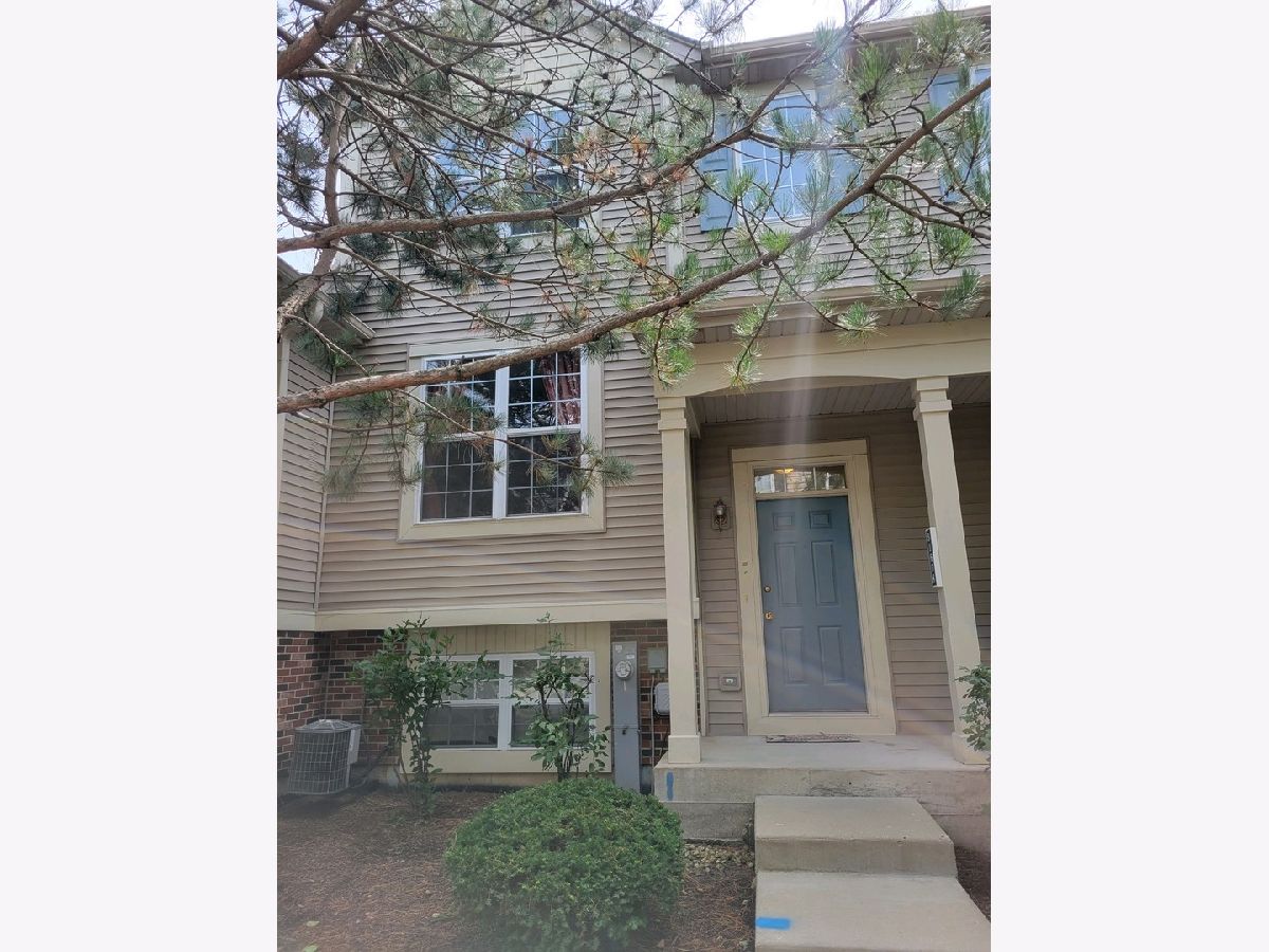 Townhomes Sold Pine Creek Lakemoor Illinois, 31608 Tall Grass