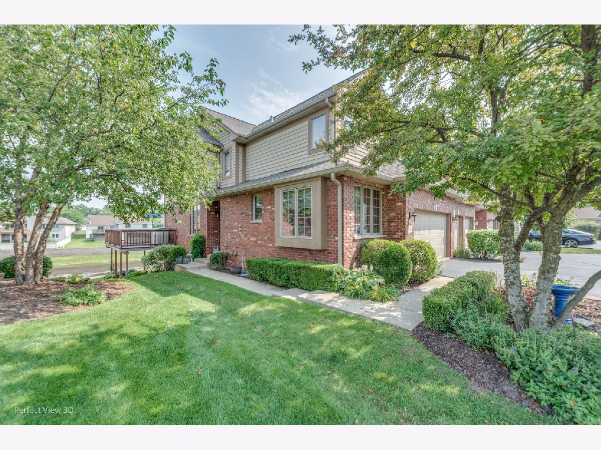 Homes & Townhomes Sold Thunder Ridge New Lenox Illinois, 3235 Lightning