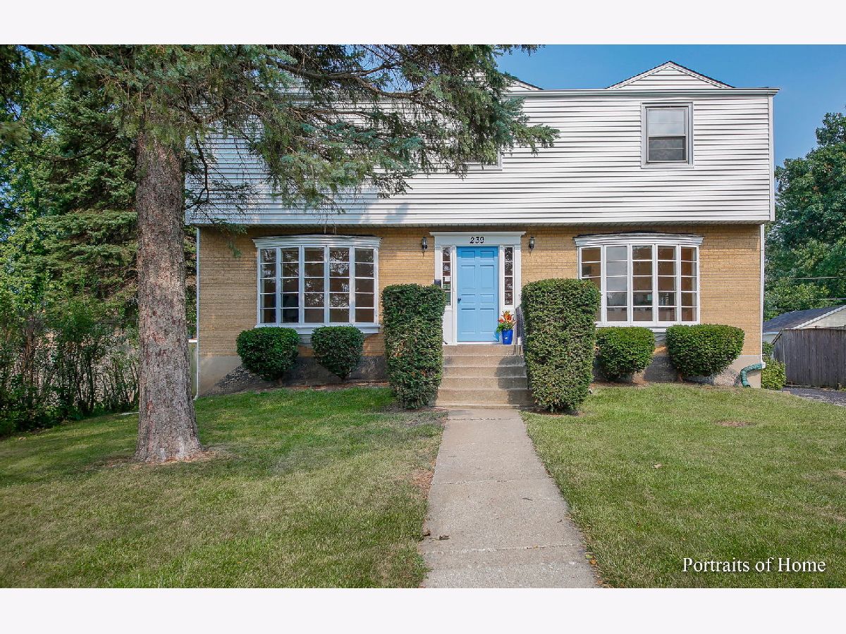 Homes & Condos & Townhomes Sold Mcintosh Westmont Illinois, 239 Grant