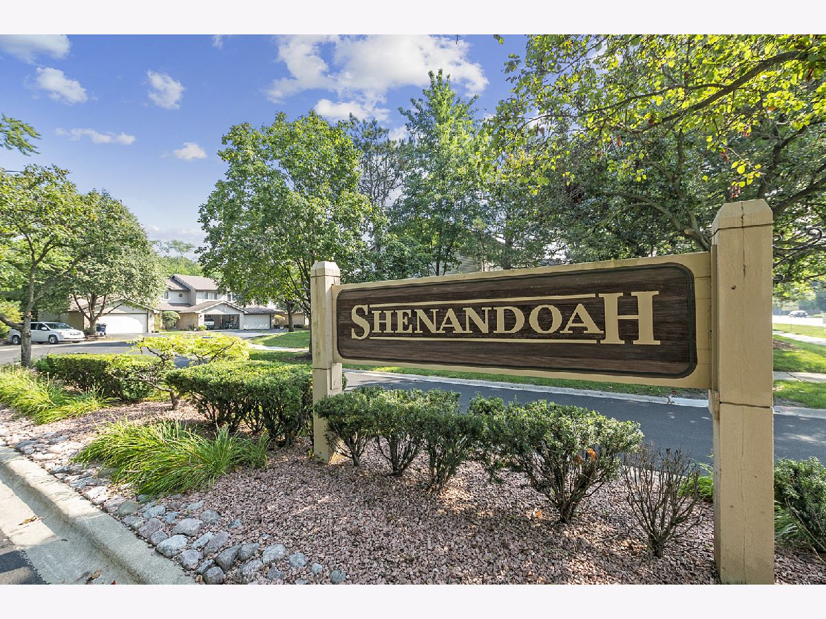 Townhomes Sold Shenandoah Townhomes Orland Park Illinois, 16683 Grants
