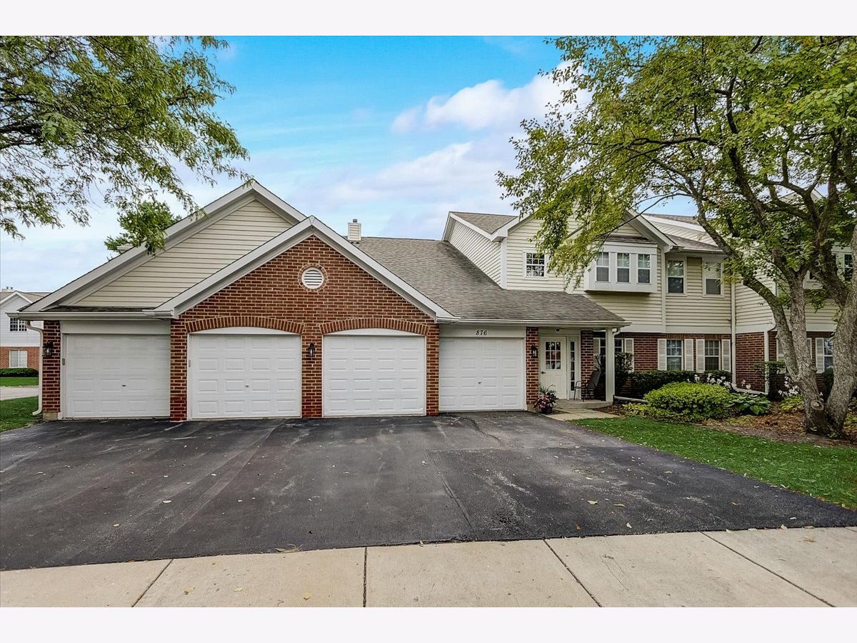 Brookdale Manor Naperville IL, Condos & Townhomes For Sale & For Rent Sadie Winter Dana Cohen