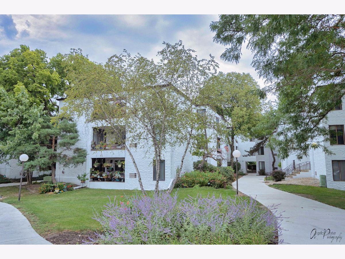 Condominiums Sold Courtyard Arlington Heights Illinois, 326 Miner