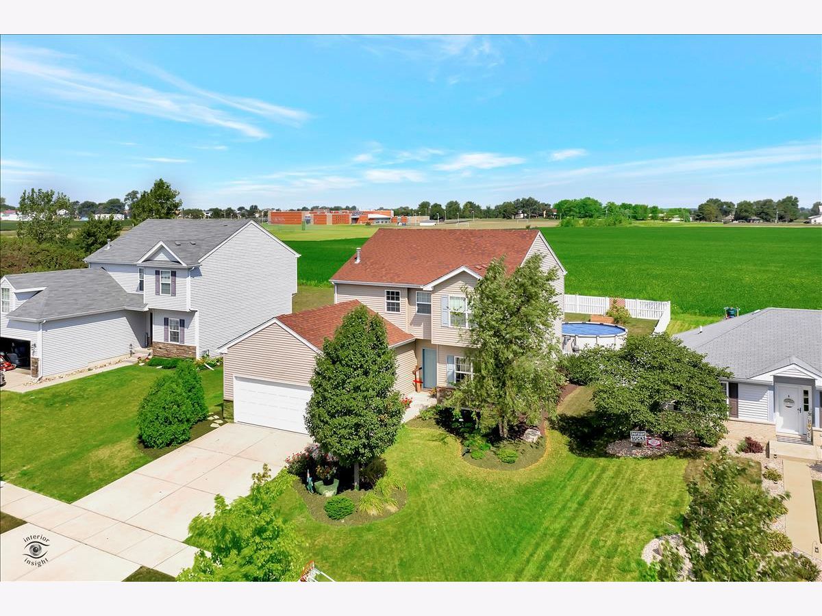 Homes & Townhomes & Condos Sold Preserve At Cardinal Creek Beecher Illinois, 220 Bald Eagle