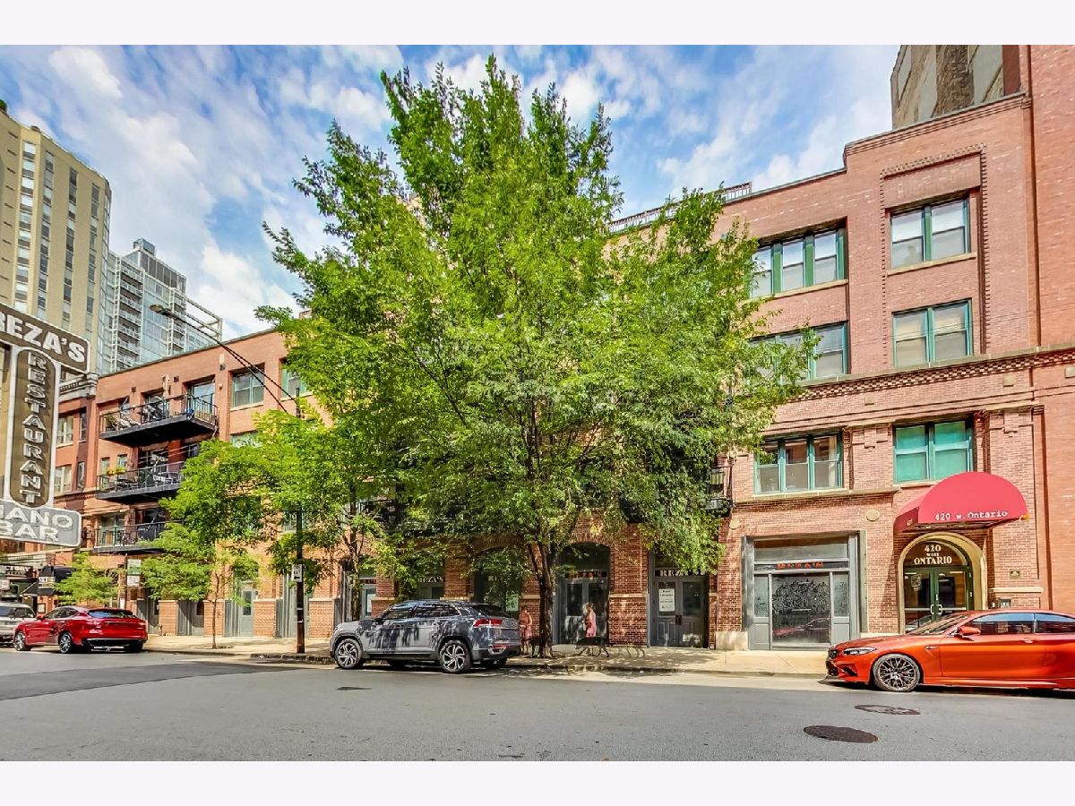 Condominiums Sold Timber Gallery Lofts Chicago Illinois, 420 Ontario
