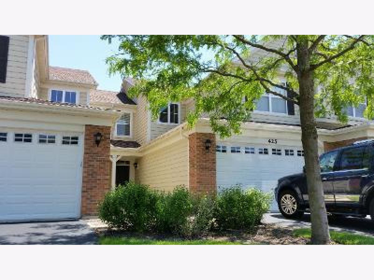 Homes & Townhomes Rented Providence Elgin Illinois, 425 Azalea
