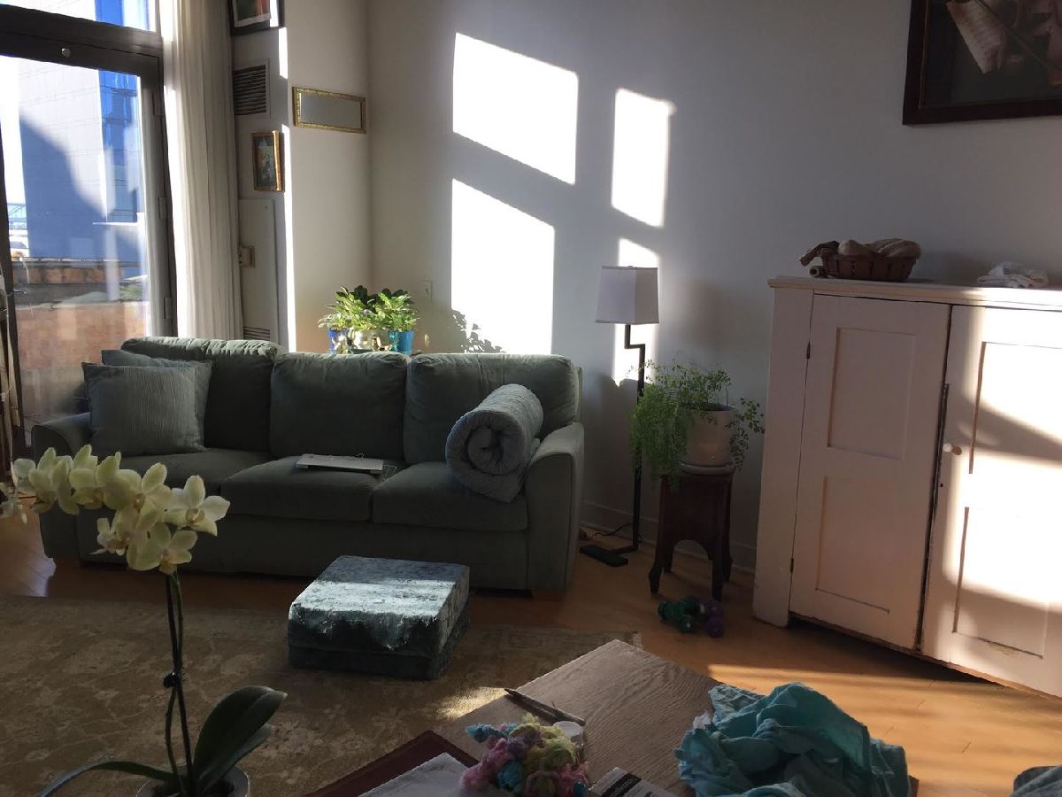 Condominiums Rented Chess Lofts Chicago Illinois, 320 21st