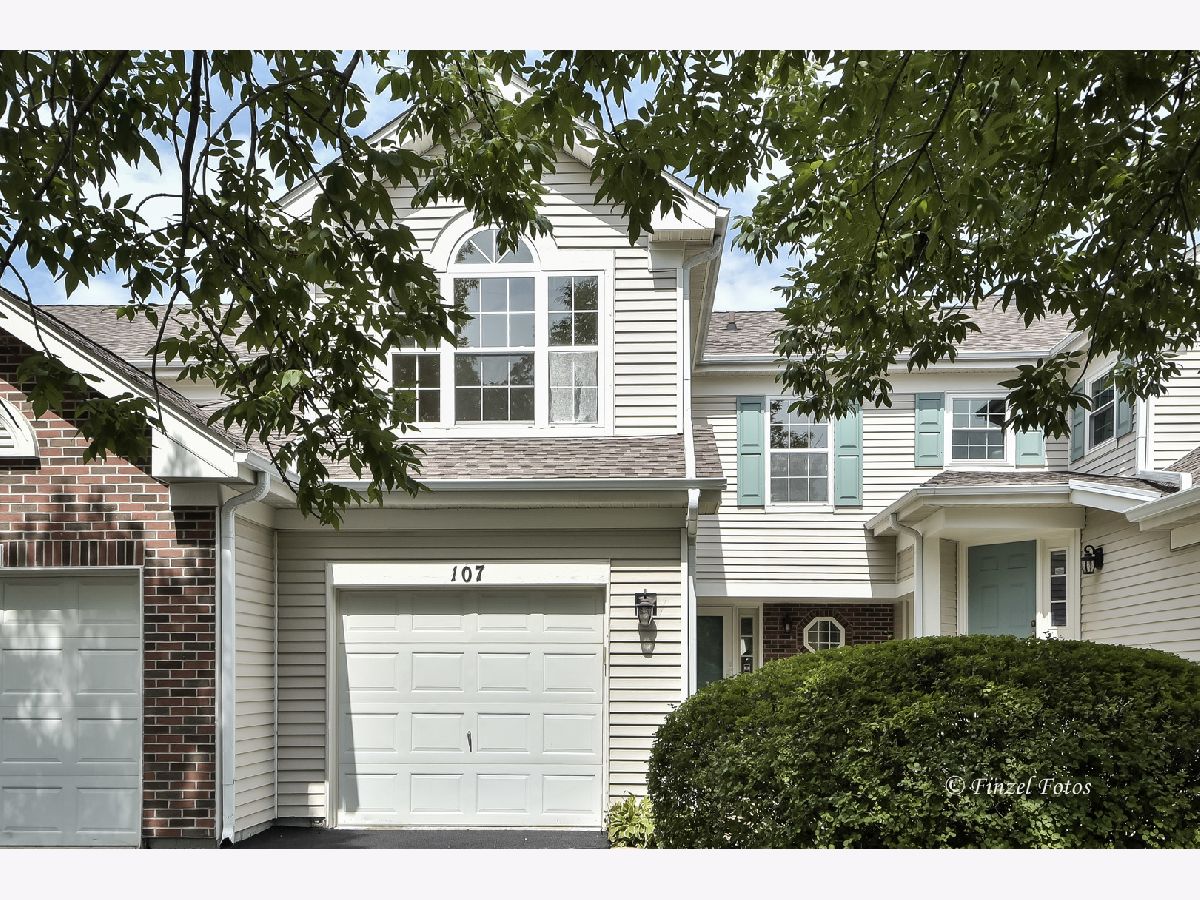 Townhomes & Condos & Homes Sold Millers Station Mount Prospect Illinois, 107 Cathy