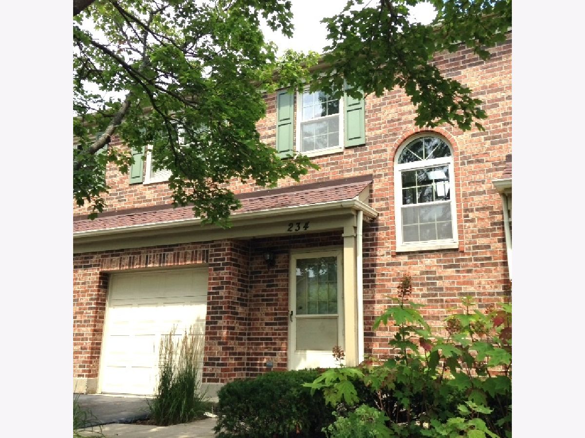 Townhomes & Condos Rented Carlton Court Westmont Illinois, 234 Carlisle