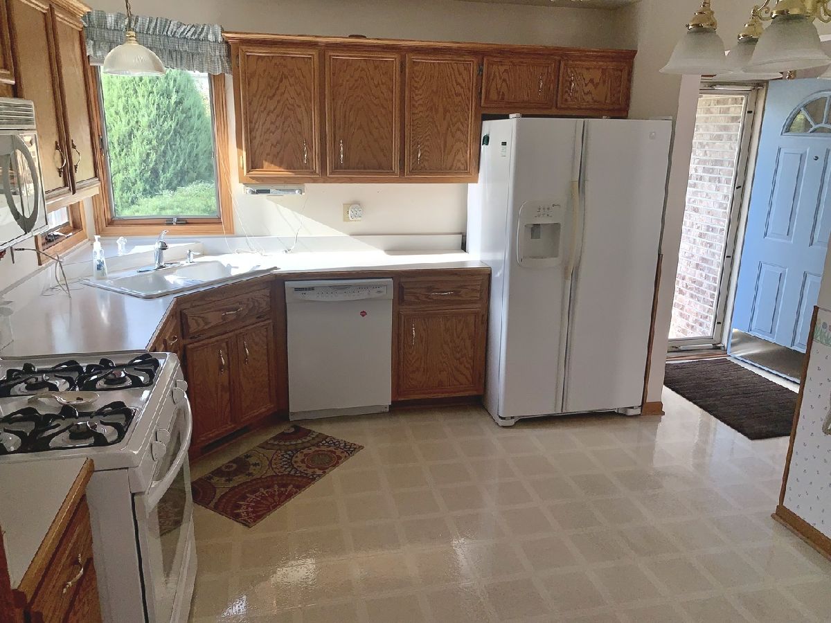 Condos & Townhomes & Homes Sold Old Plank Road Estates Joliet Illinois, 1229 Norley
