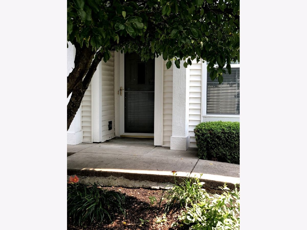 Condos & Townhomes Rented Central Park Carol Stream Illinois, 354 Woodhill