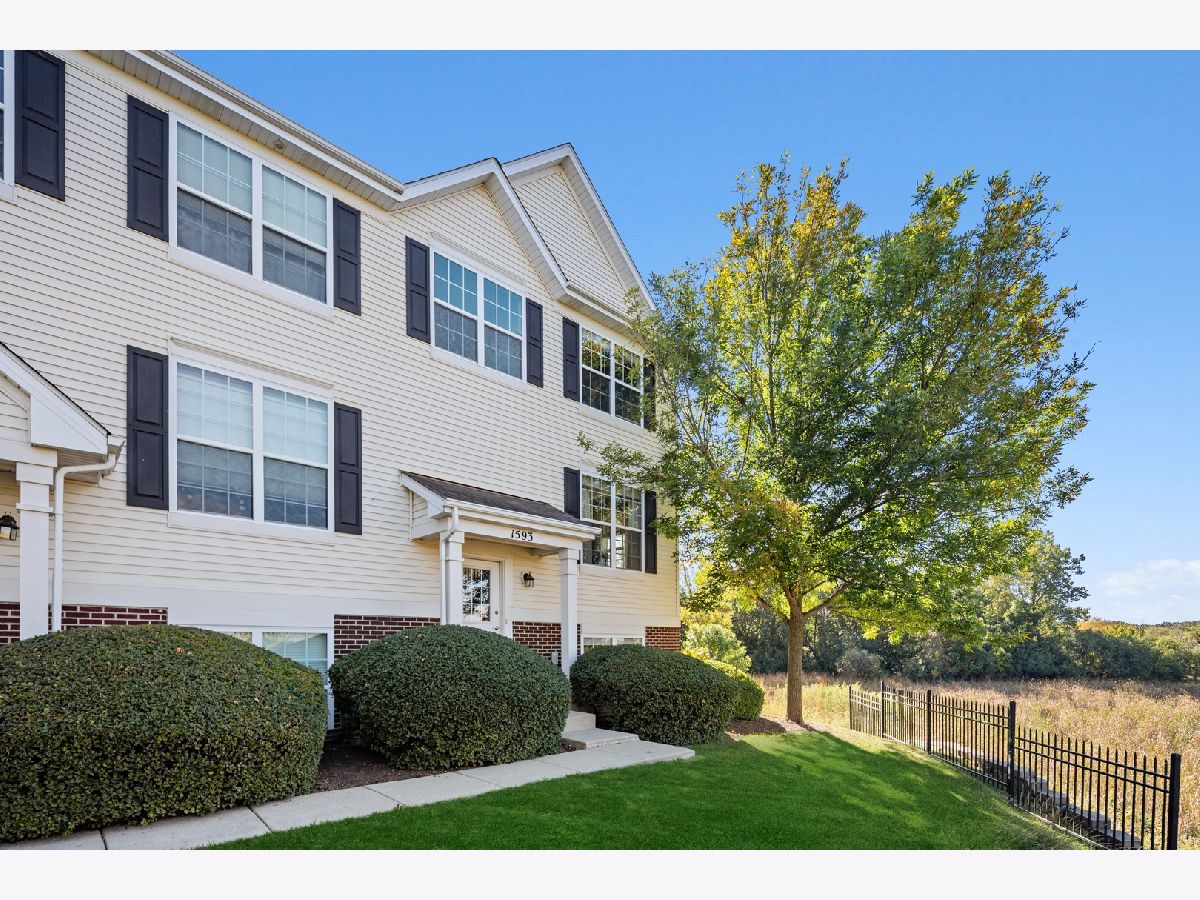 Townhomes & Condos Sold Heron Bay Round Lake Illinois, 1593 Turtle Creek