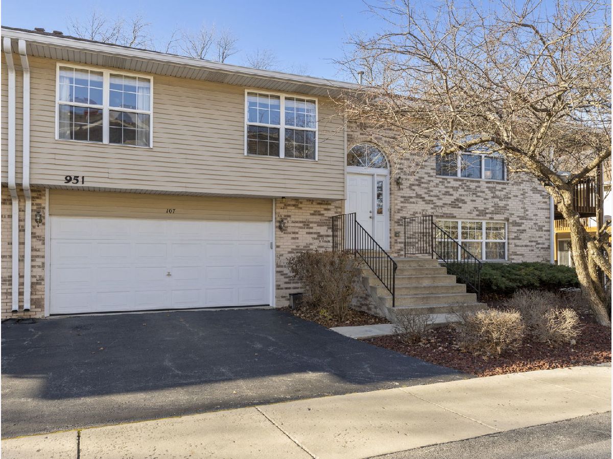 Condos & Townhomes Sold Woodland Park Estates Naperville Illinois, 951 Elderberry