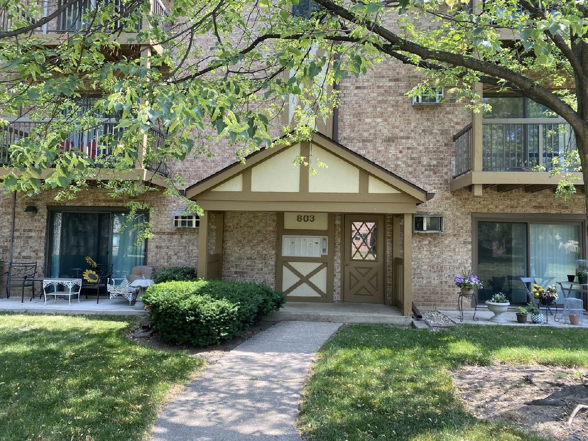 Condominiums Sold Church Creek Arlington Heights Illinois, 803 Dwyer