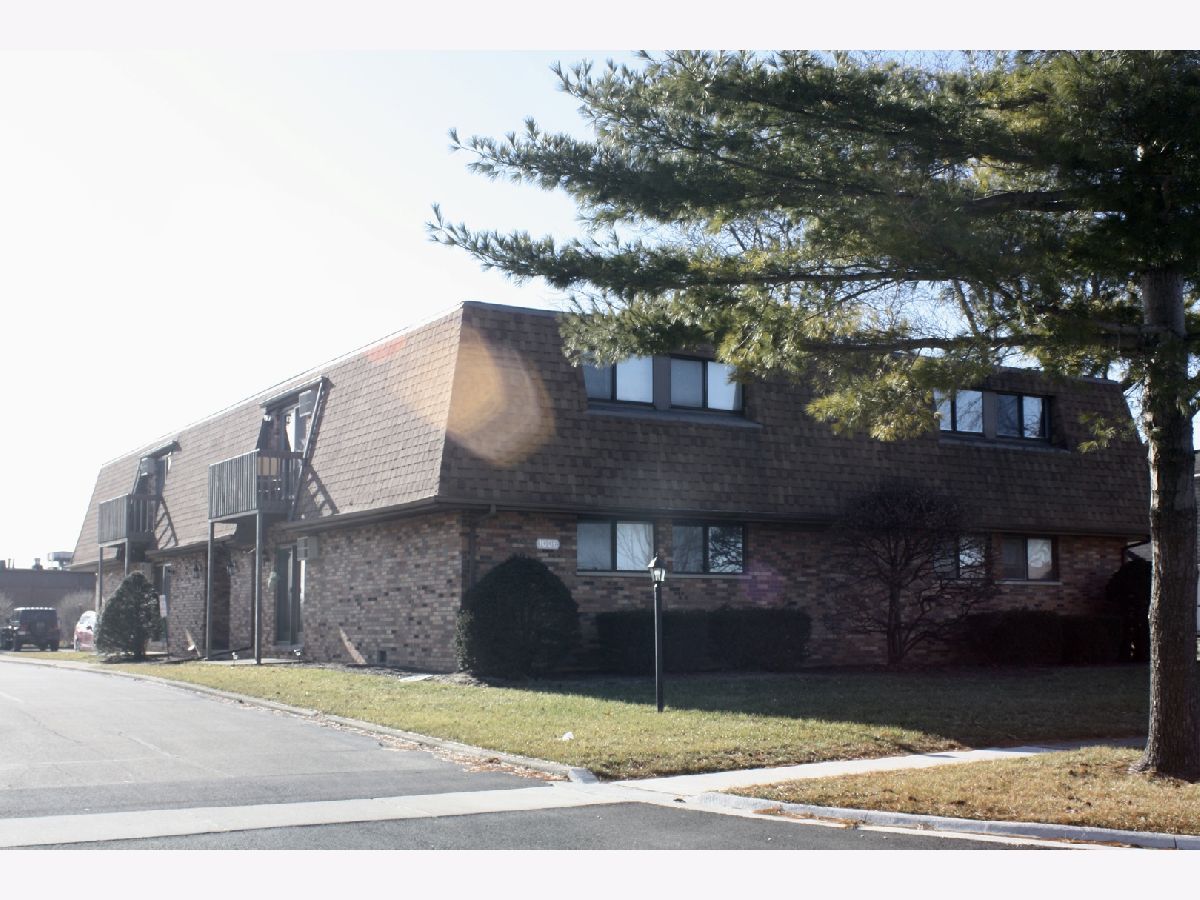 Homes & Condos & Townhomes Rented Country Creek New Lenox Illinois, 1006 Shagbark