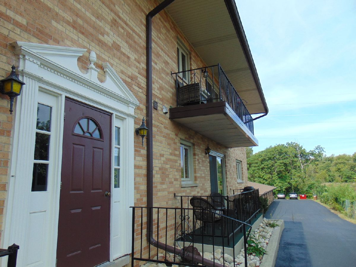 Condos & Townhomes Sold Willow Woods Willow Springs Illinois, 8996 Archer