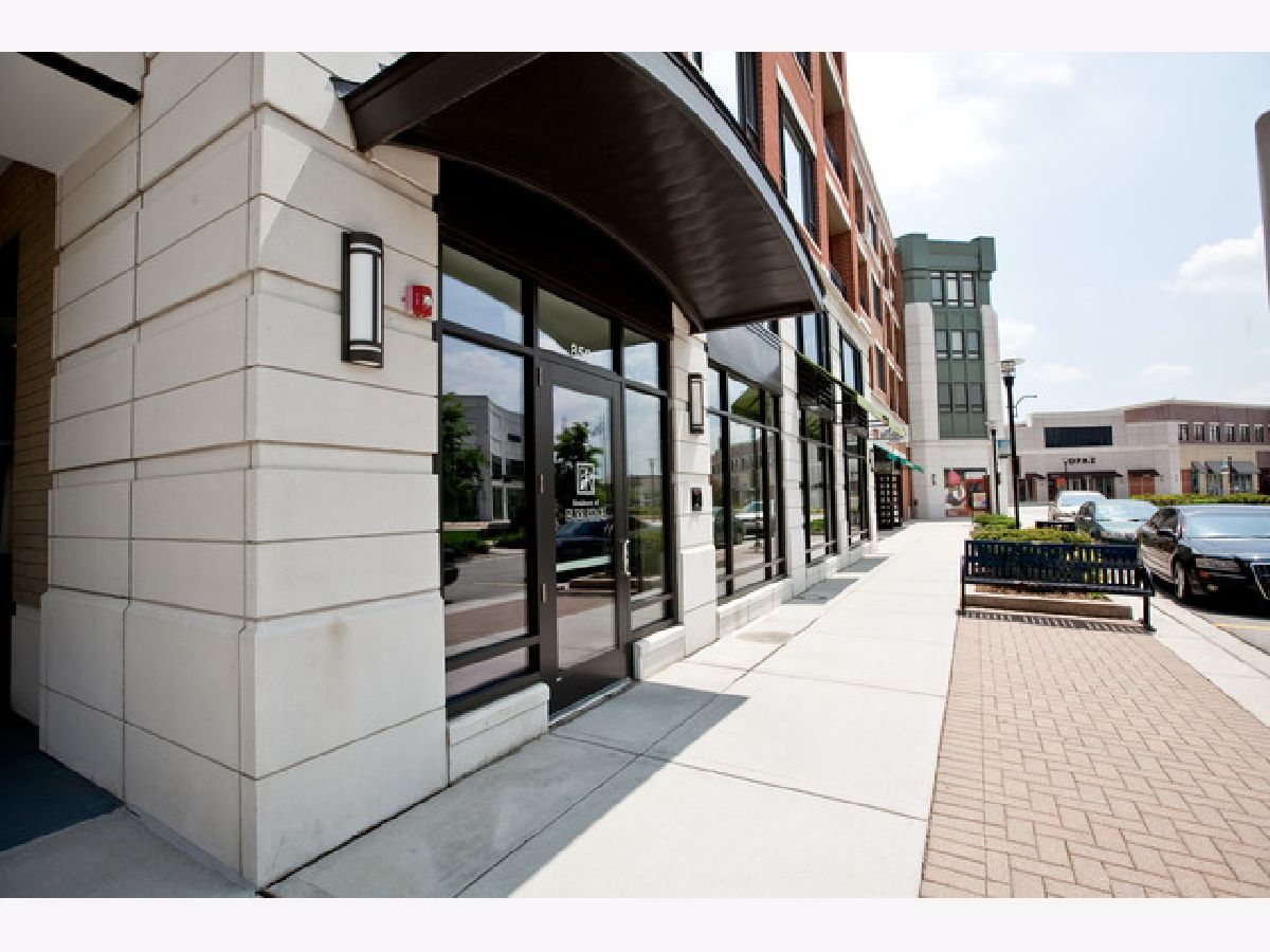 Condominiums Rented Burr Ridge Village Center Burr Ridge Illinois, 850 Village Center