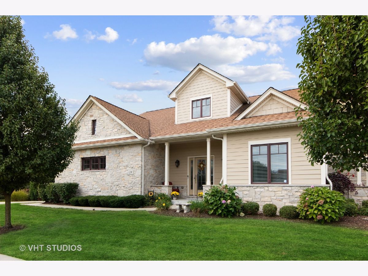 Townhomes & Homes Sold Bowens Crossing Frankfort Illinois, 9391 Bull Rush