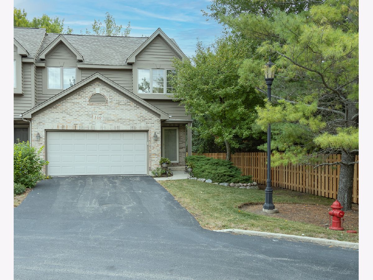 Condos & Townhomes Sold Pine Meadow Townhomes Crystal Lake Illinois, 540 Silver Aspen
