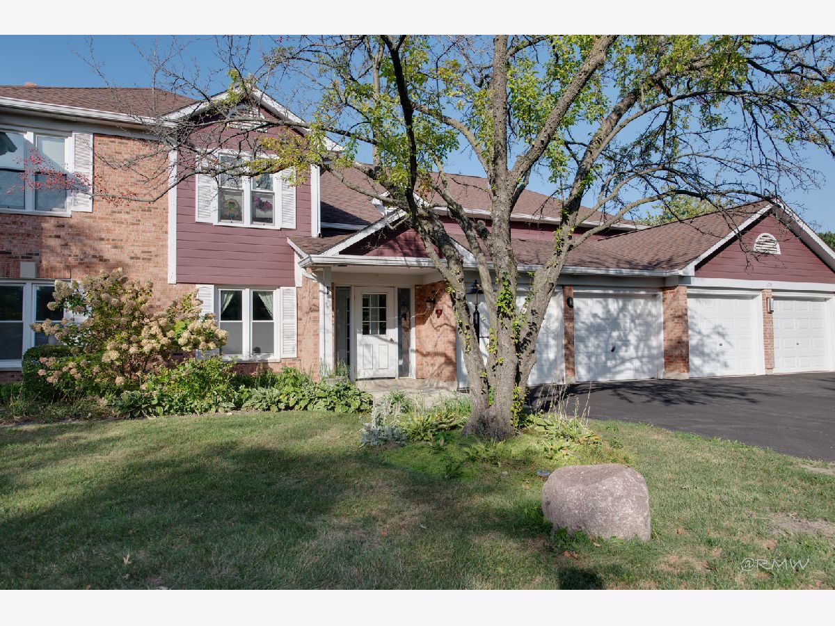 Townhomes & Condos Sold Rivers Edge Des Plaines Illinois, 171 Grove