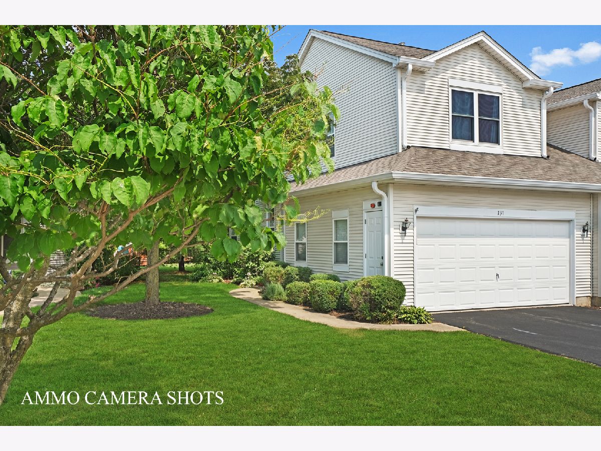 Townhomes & Condos Sold Woodland Lakes North Aurora Illinois, 131 Woodland