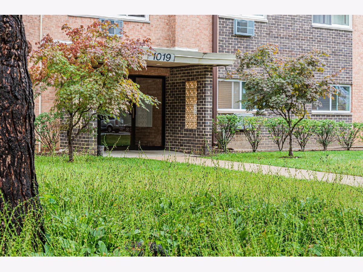 Condominiums Sold Randwood Towers Mount Prospect Illinois, 1019 Boxwood