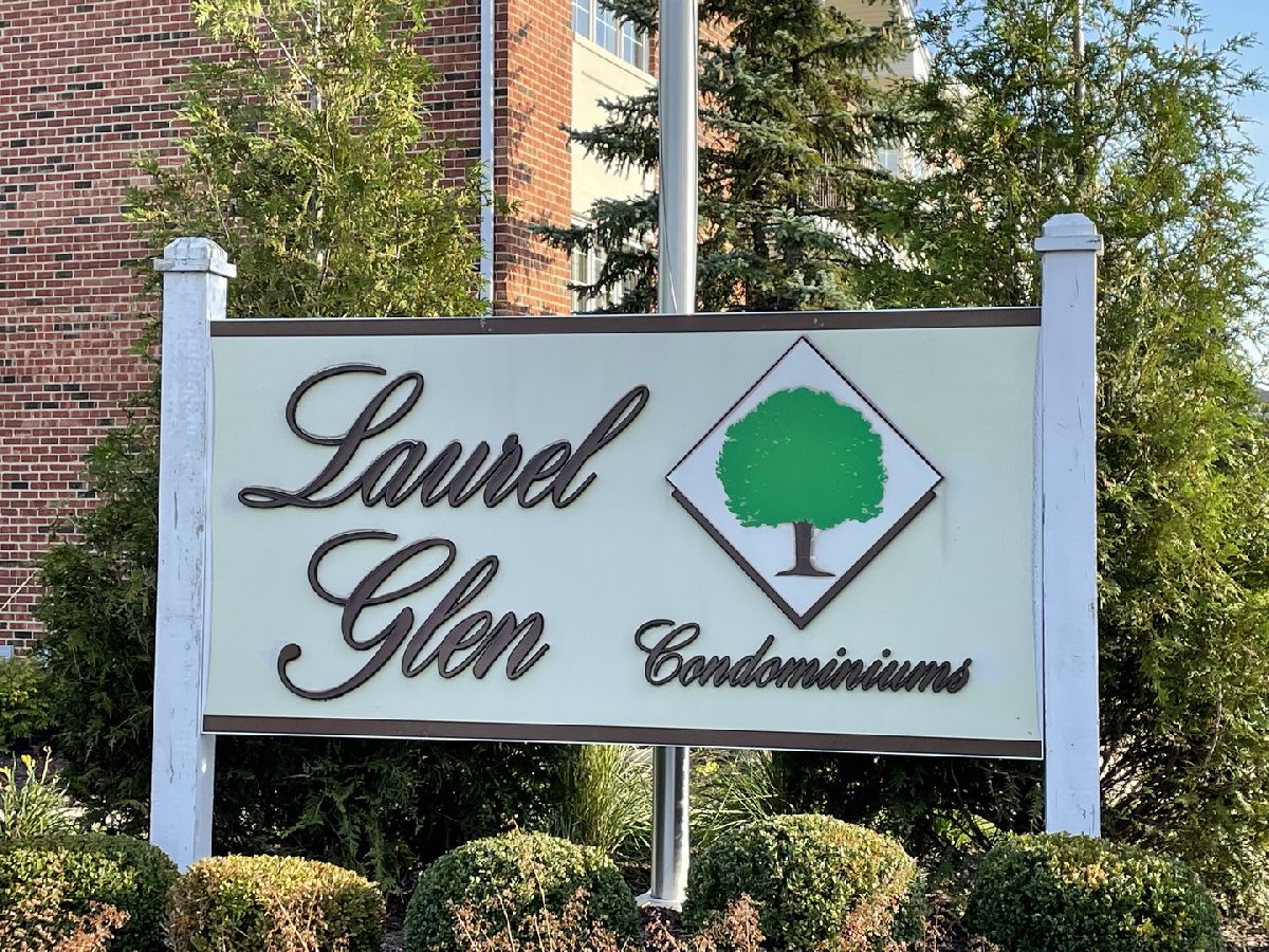 Condominiums Sold Laurel Glen Palos Heights Illinois, 13098 Laurel Glen