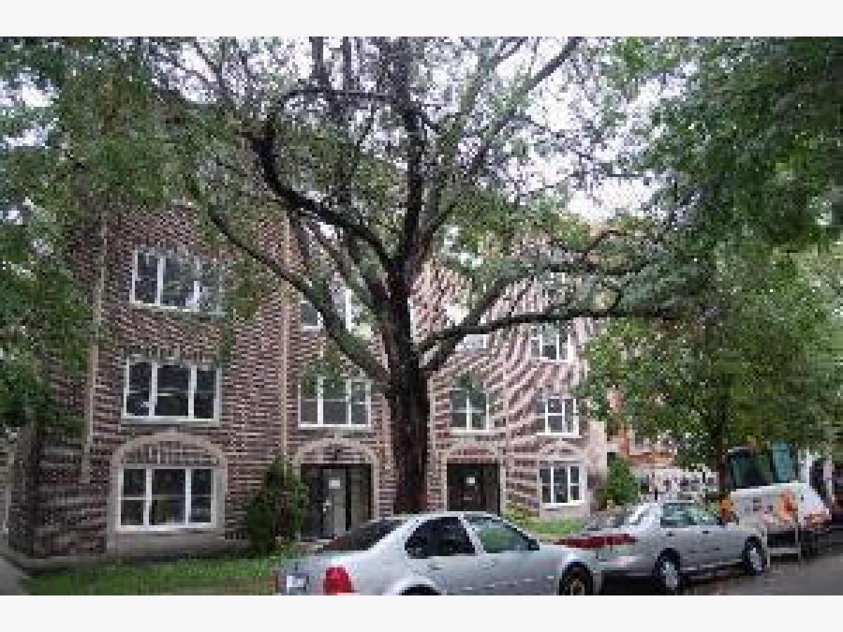 Subdivision Rented Arthur Park Chicago Illinois, 2118 Arthur
