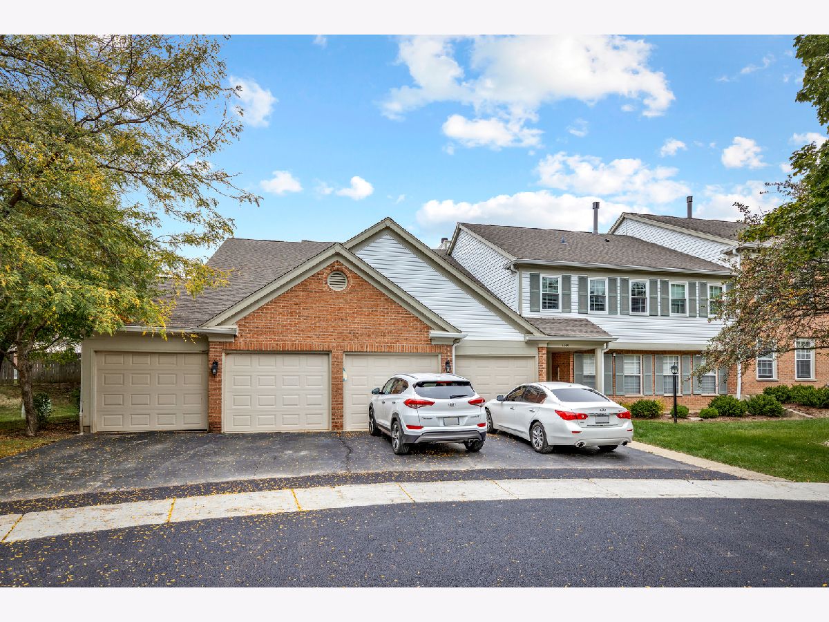 Condominiums Rented Willow Pond Schaumburg Illinois, 1300 Woodside