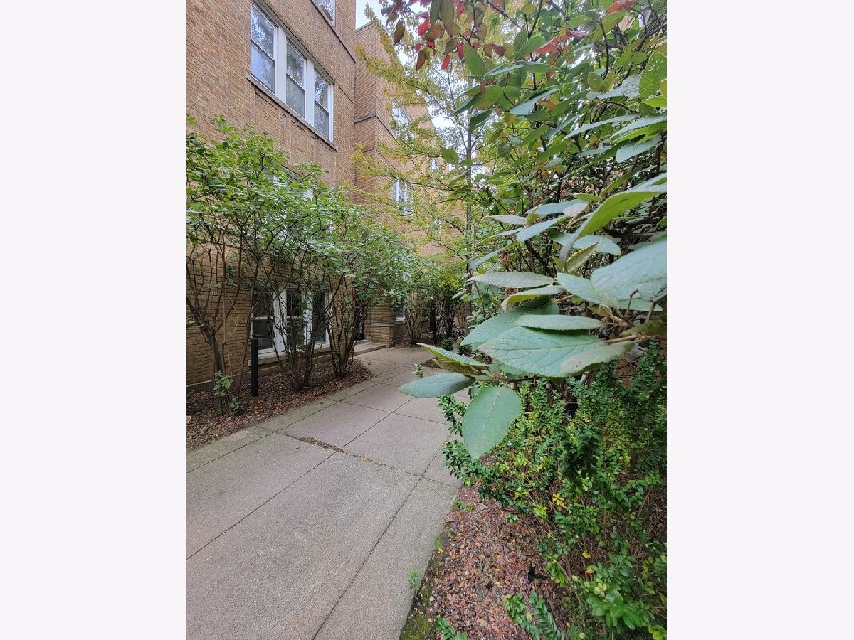 Condominiums & Homes Rented Lincoln Park 2520 Chicago Illinois, 677 Wrightwood